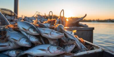 catching seafood in the ocean on boats photo