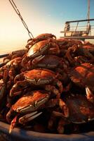 catching seafood in the ocean on boats photo