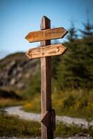 empty wooden direction signs photo