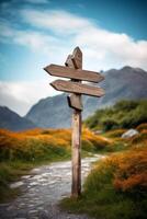 empty wooden direction signs photo