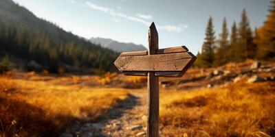 empty wooden direction signs photo