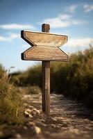 empty wooden direction signs photo