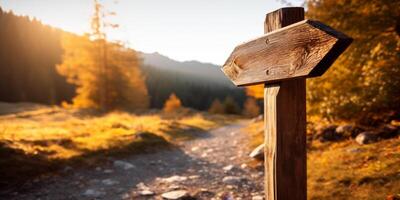 empty wooden direction signs photo