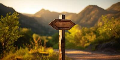 empty wooden direction signs photo