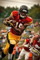 American football players on the field photo