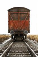 freight train cargo delivery photo