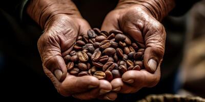 café frijoles en palmas foto