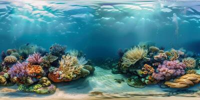 underwater world corals fish photo