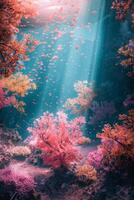 underwater world corals fish photo