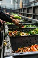 waste sorting and recycling photo