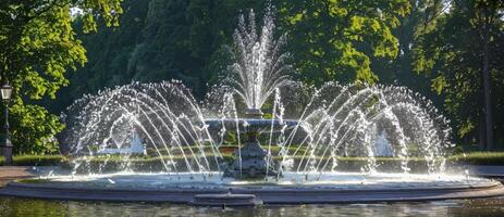 fuente en el parque foto