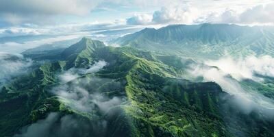 Fog in Forest Aerial view photo