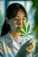 woman growing cannabis photo