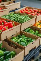 wooden box basket with vegetables photo