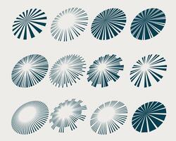sunburst rays and beams set in perspective style vector