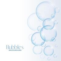 realista brillante agua o jabón burbujas antecedentes vector