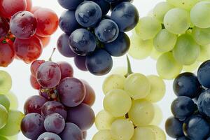 Close Up of Grape Varieties photo