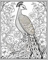 Adult Coloring Page with Decorative Peacock photo