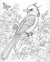 Bird Tree Coloring Pages for Adults photo