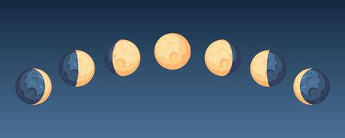 Luna etapas. astrológico ilustración para el lunar calendario. vector