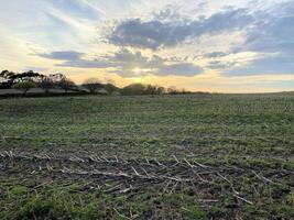 A view of the Cheshire Countryside at Peckforton photo