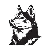 illustration of Husky isolated on white vector