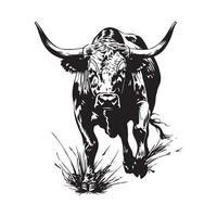 negro vaca diseño imágenes en blanco antecedentes vector