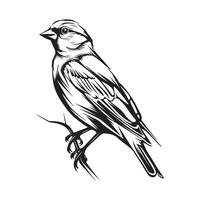 Illustration of a bird. Bird on a branch Design, Art, Image vector