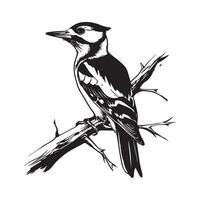 pájaro en un rama diseño, arte, imagen diseño en blanco antecedentes vector