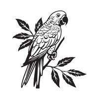 Parrot Bird On A Tree Branch image vector