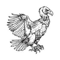 Vulture Image design and Illustrations isolated on white vector