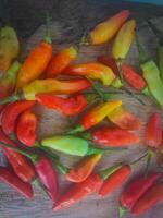 close up of chili vegetables used to make chili sauce photo