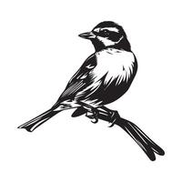 Lark bird Images. Black and white Lark Bird on white background vector