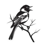 Oriole Bird Design Art, Icons, and Graphics. Oriole bird on a branch of a tree vector