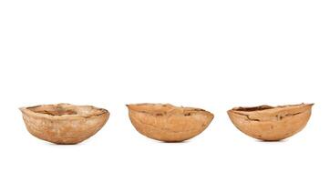 Three walnut shells photo