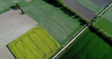 drone view of agricultural fields video