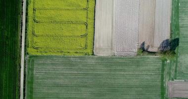 Antenne Drohne von landwirtschaftlich Felder video