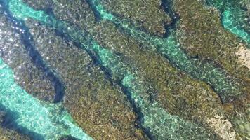 costiero armonia, aereo visualizzazioni di oceano onde, cristallo chiaro mare acqua nel Taiwan video