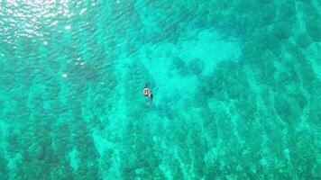 aéreo tranqüilidade, nadadores desfrutando cristal águas de a Beira Mar dentro Taiwan video