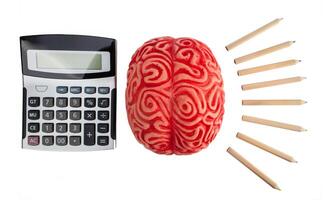 Concept of brain hemispheres between logic and creativity. photo