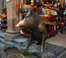Bronze pig fountain in Florence photo