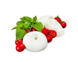 Mozzarella di Bufala donuts, fresh cheese, italian dairy product. photo