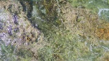 côtier harmonie, aérien vues de océan vagues, cristal clair mer l'eau dans Taïwan video