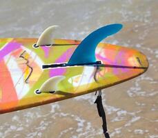 Close up of fins of longboard photo