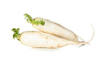 Raw Daikon radish photo