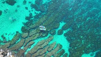 aéreo tranquilidad, kayac flotante en cristal aguas por el costa en Taiwán video