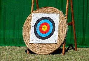 Arrows embedded in row of archery targets. photo