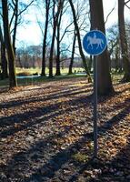 Inglés jardín, camino reservado para el tránsito de caballos foto