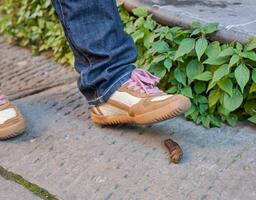 Foot of a pedestrian who is about to step on a dog poop photo