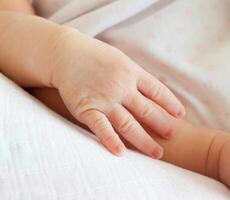 Small hand of newborn photo